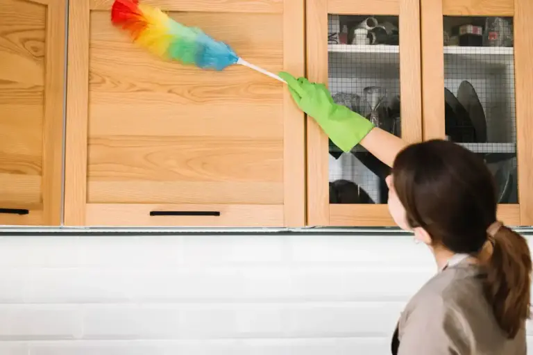 simple Dutch home hacks cleaning kitchen household