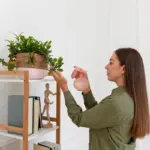 Dutch sustainable household tips eco friendly home
