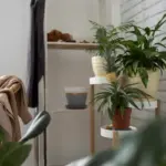 minimalist eco friendly home interior Netherlands