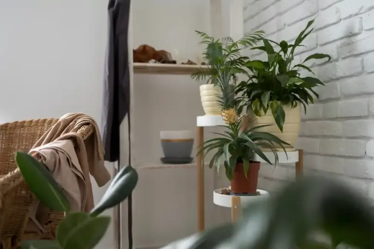 minimalist eco friendly home interior Netherlands