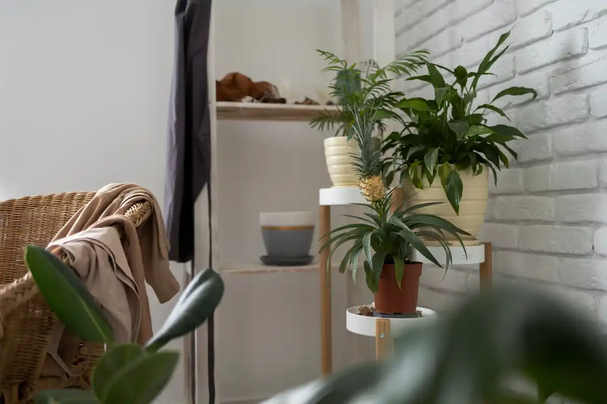 minimalist eco friendly home interior Netherlands
