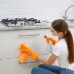cleaning vinegar water spray bathroom kitchen
