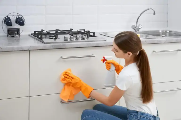 cleaning vinegar water spray bathroom kitchen