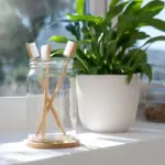 minimalist sustainable home organization Netherlands