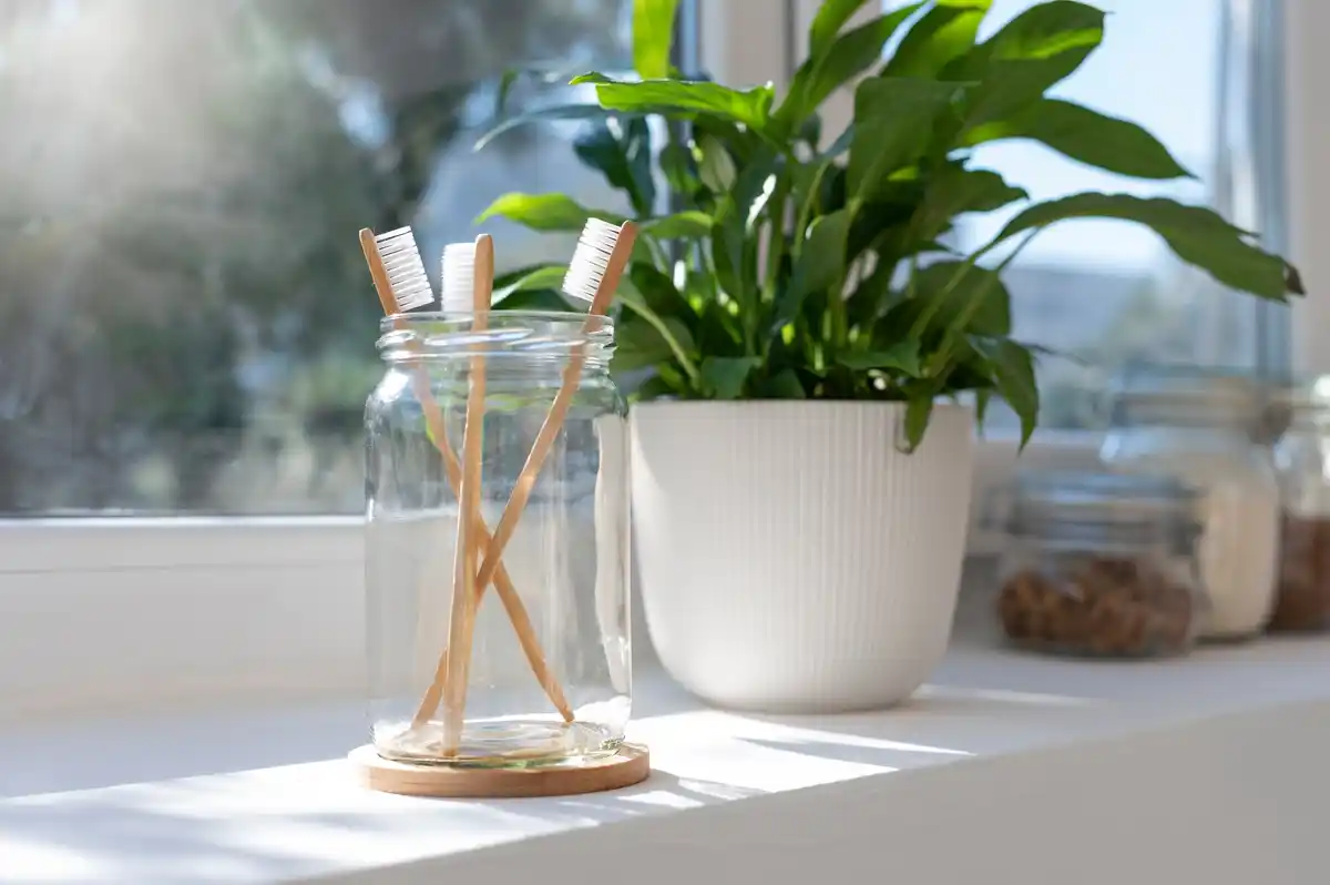 minimalist sustainable home organization Netherlands