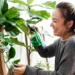 small eco-friendly lifestyle changes Dutch