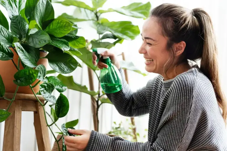 small eco-friendly lifestyle changes Dutch