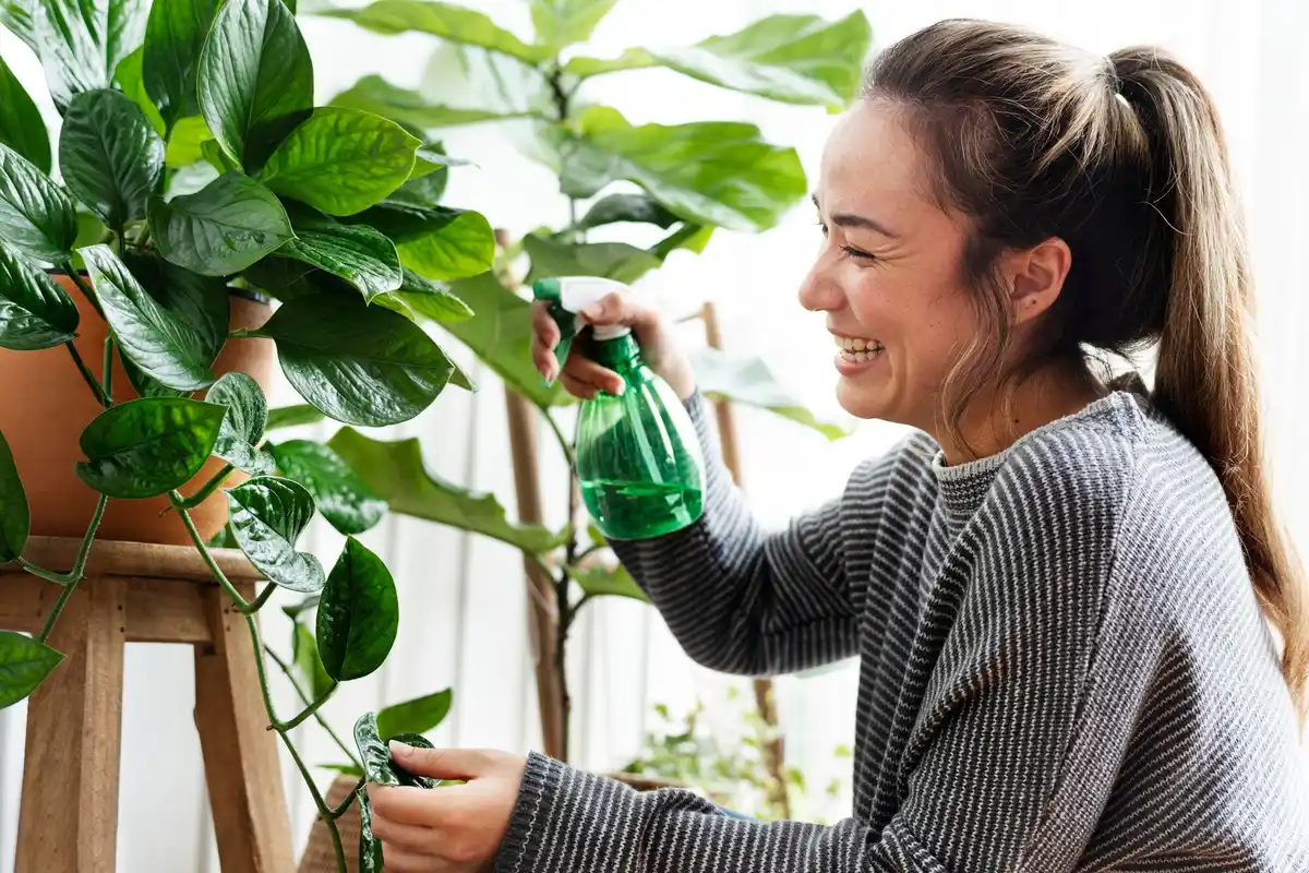 small eco-friendly lifestyle changes Dutch