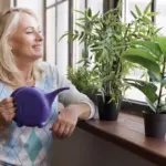 eco-friendly home lifestyle Netherlands