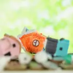 Eco-friendly household tips saving money