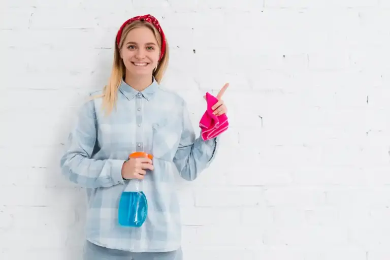 cleaning house fast tips Netherlands