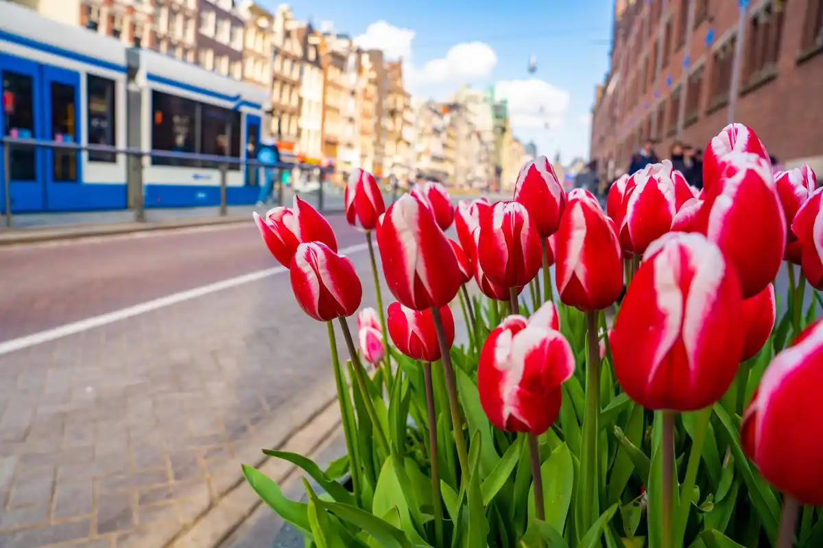 Dutch travel hacks Netherlands vacation