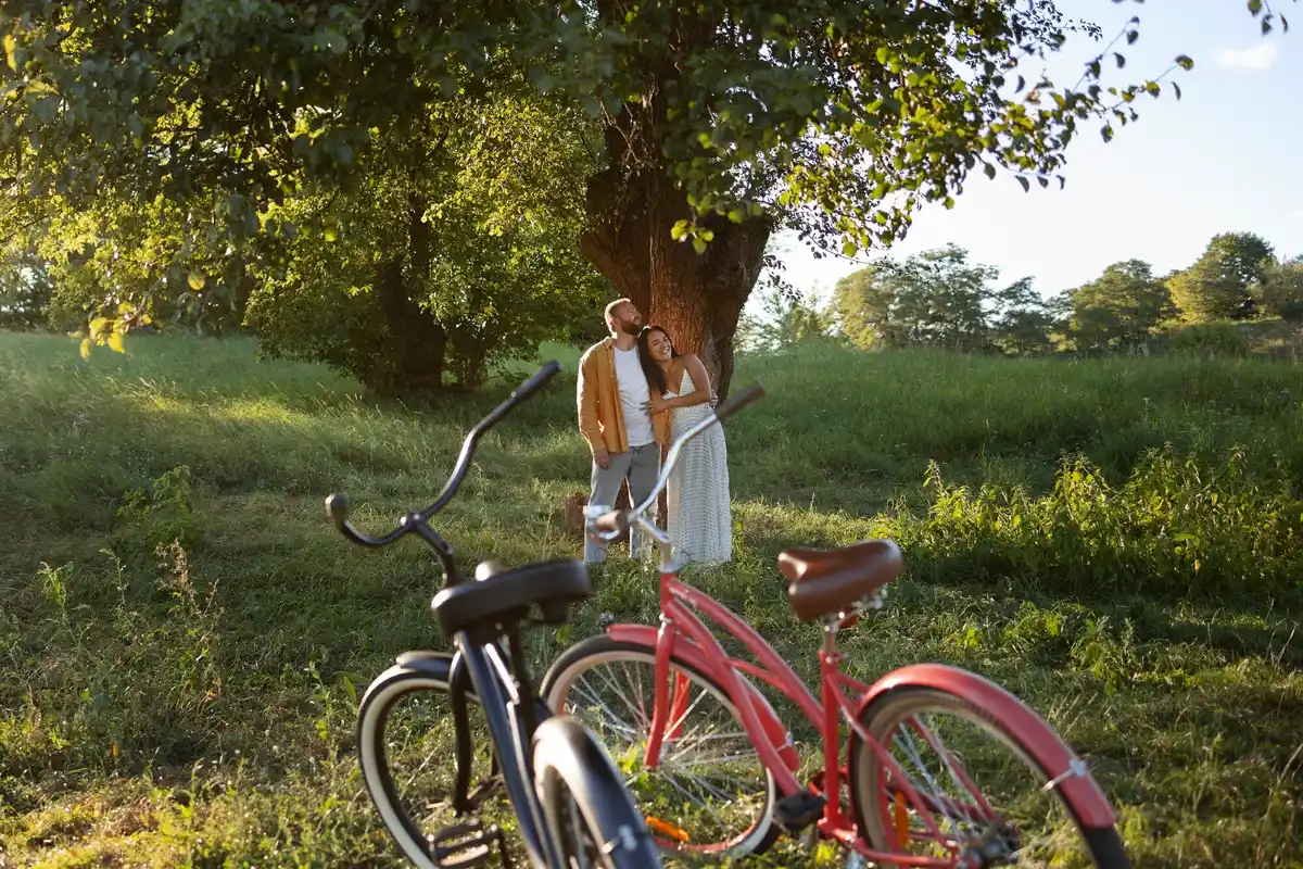 dutch vacation relaxation nature bicycle windmill