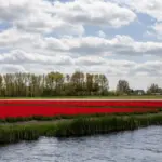 Dutch roadtrip car travel Netherlands nature