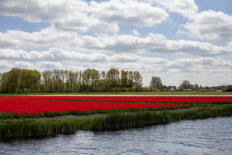Dutch roadtrip car travel Netherlands nature