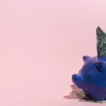 Dutch savings account money growth investment