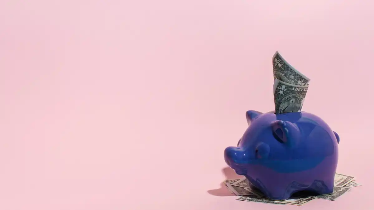 Dutch savings account money growth investment
