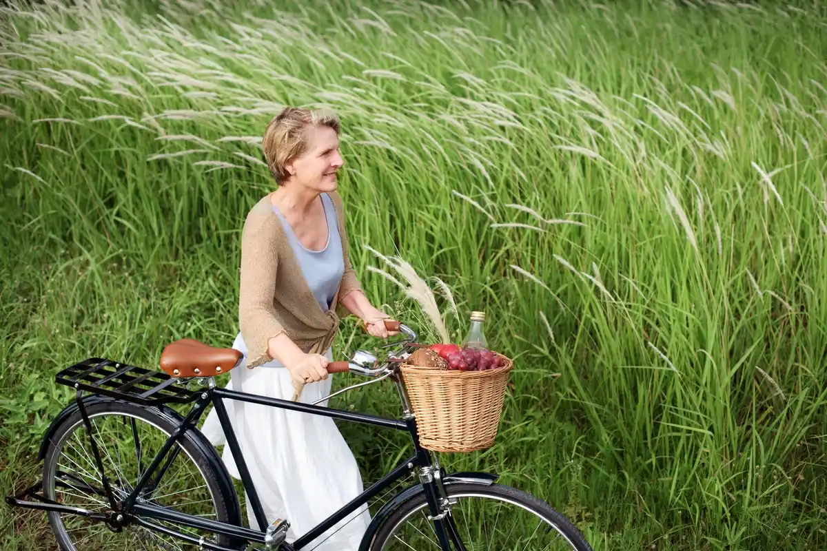 dutch cycling countryside travel