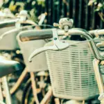 Netherlands travel tips bicycle OV-chipkaart local food markets