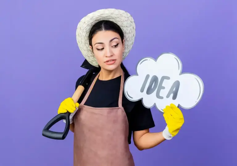 clean home quick tips