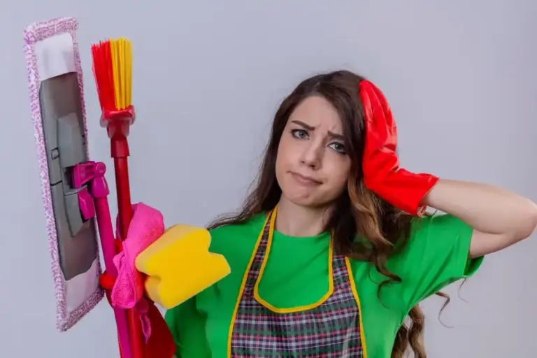 efficient home cleaning Dutch household