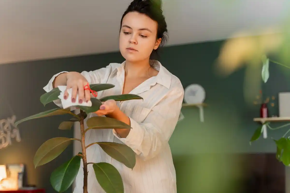 minimalist eco-friendly lifestyle tips Netherlands