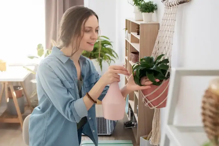 small sustainable lifestyle changes home organization