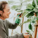 eco-friendly sustainable household tips Netherlands