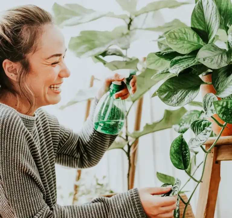 eco-friendly sustainable household tips Netherlands