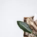 minimalist sustainable home tips