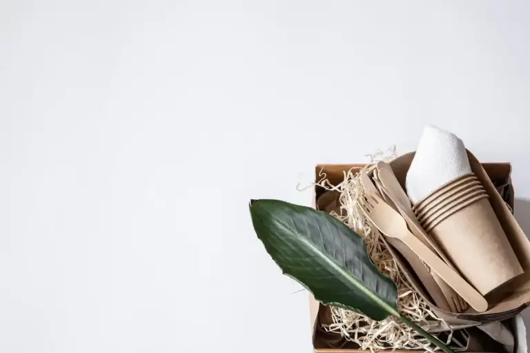 minimalist sustainable home tips
