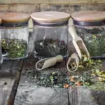 fresh herbs storage kitchen