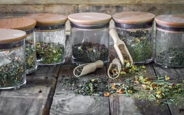 fresh herbs storage kitchen
