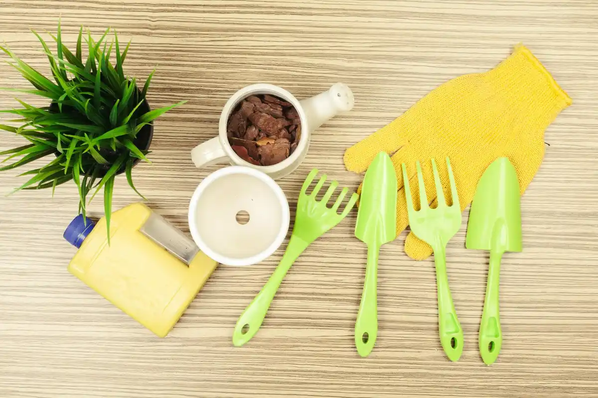 simple household life hacks kitchen gardening