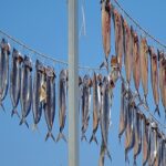 EU protesteert tegen vreedzame visserijovereenkomst tussen Groot-Brittannië, Norge, Faeröer en IJsland