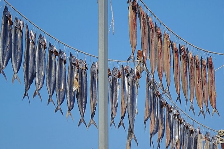 EU protesteert tegen vreedzame visserijovereenkomst tussen Groot-Brittannië, Norge, Faeröer en IJsland