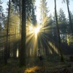 Europa bevindt zich verder van de milieudoelstellingen voor 2030 dan ooit