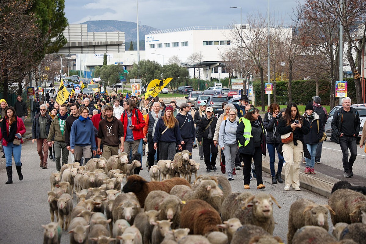 Ongoing Strijd van Franse en Spaanse Boeren Tegen Arbeid van Dierziekten Regels