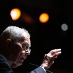 Austria roept op tot 'Europese patriottisme' terwijl rechts-populisten aan kracht winnen