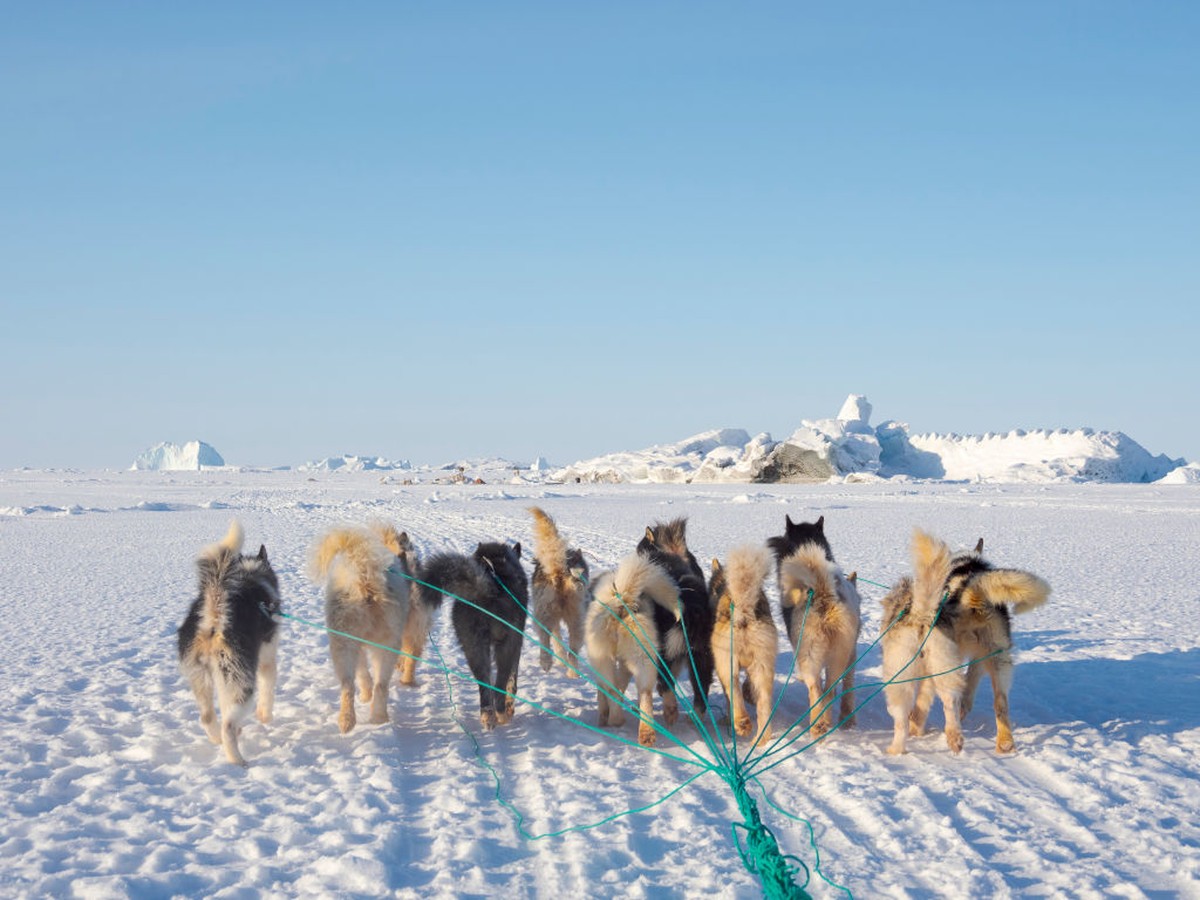 Danish Troops Prepare for Potential Conflict with the United States Over Greenland