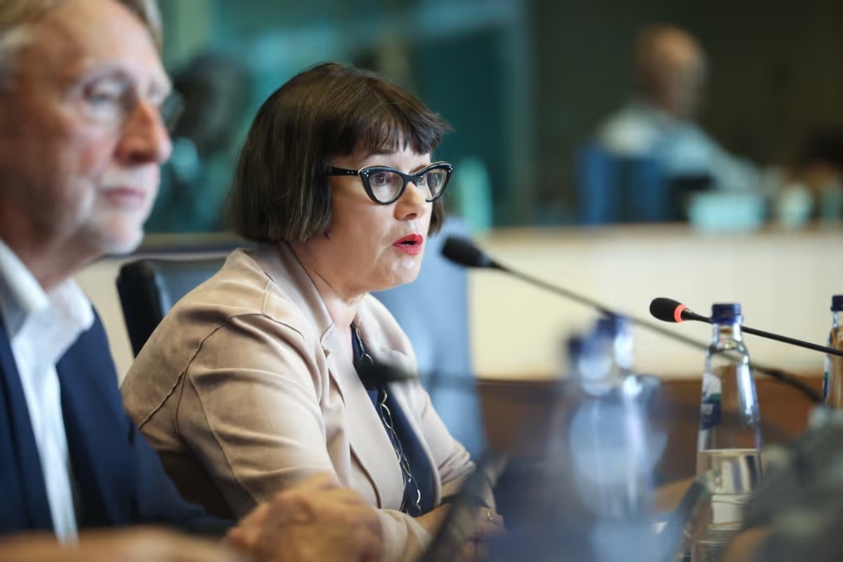 EU-Handelsfunctionaris Verschaft Garantie aan EP over Voorlopige Toepassing van Mercosur-overeenkomst